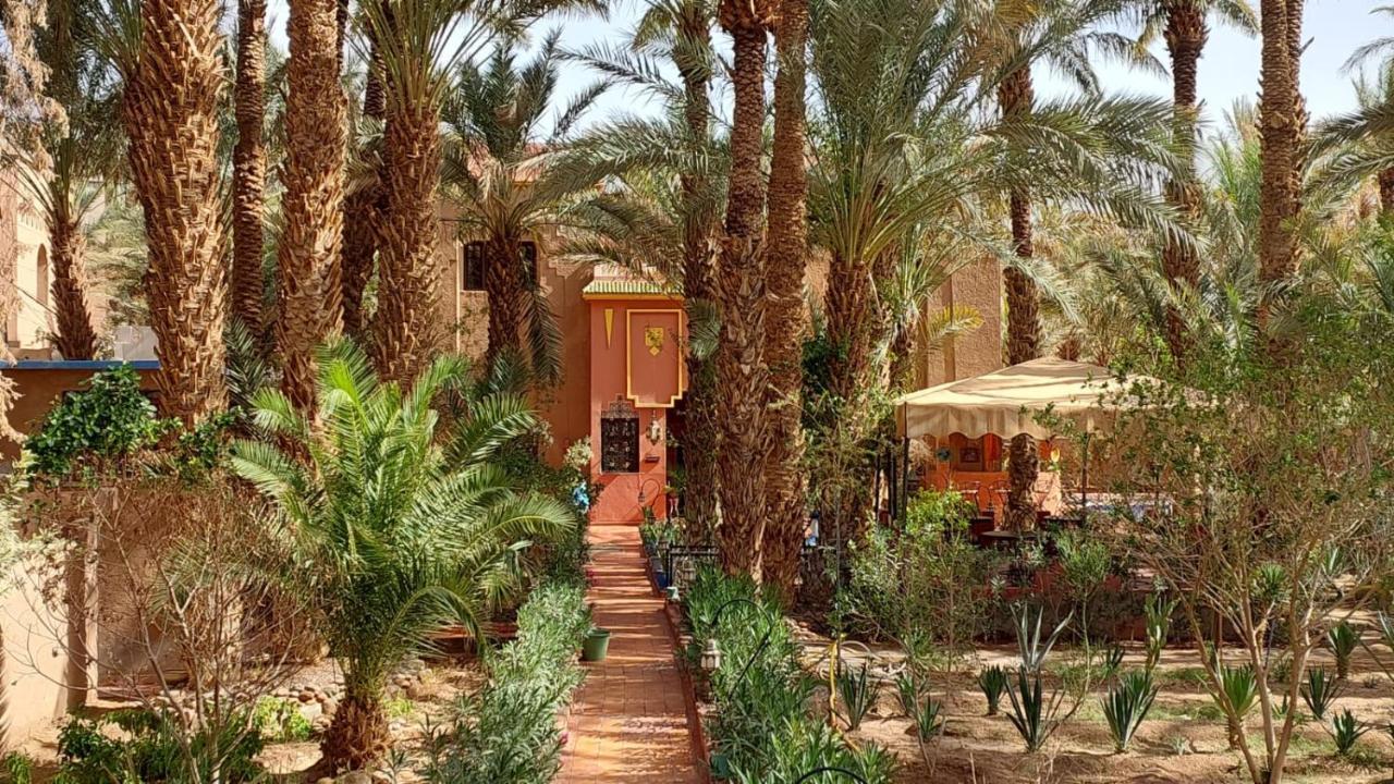 Riad Le Petit Jardin Zagora Exteriér fotografie